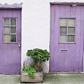 Purple House